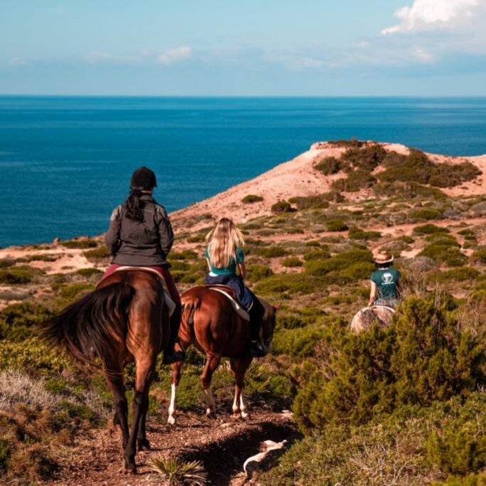 Cammino_Santa_Barbara_Cavallo_1